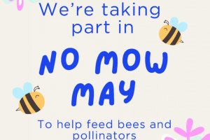 Give pollinators a chance this spring by supporting No Mow May